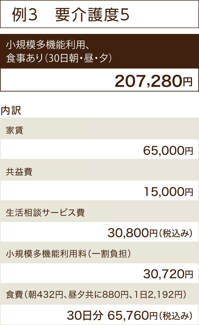 例３　要介護度５